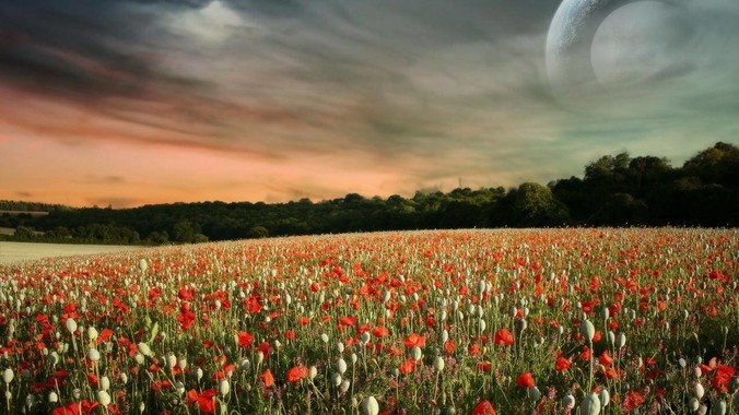 能不能在FPS游戏里放一些隐身单位用来反***，谁能锁到就说明开挂了?